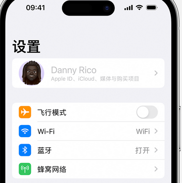 东澳镇appleID维修服务iPhone设置中Apple ID显示为灰色无法使用 