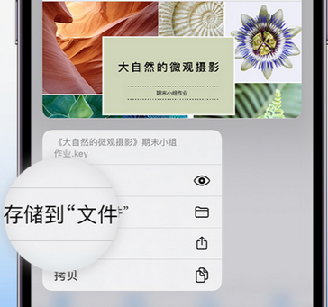 东澳镇apple维修中心分享iPhone文件应用中存储和找到下载文件