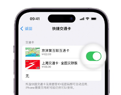 东澳镇apple维修点分享iPhone上更换Apple Pay快捷交通卡手绘卡面 