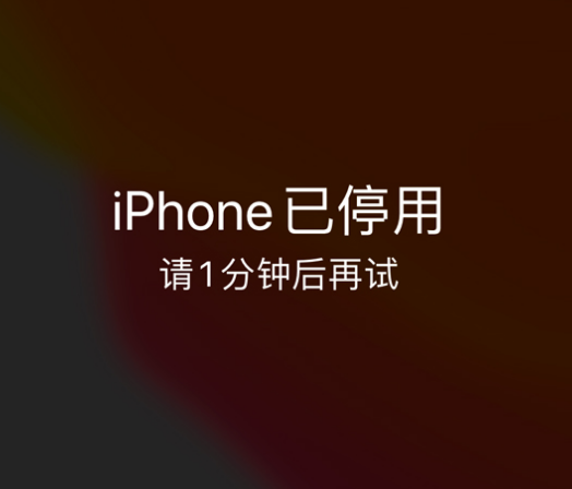 东澳镇苹果手机维修分享:iPhone 显示“不可用”或“已停用”怎么办？还能保留数据吗？ 