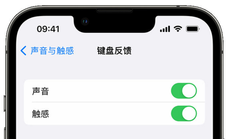 东澳镇苹果手机维修分享iPhone 14触感键盘使用方法 