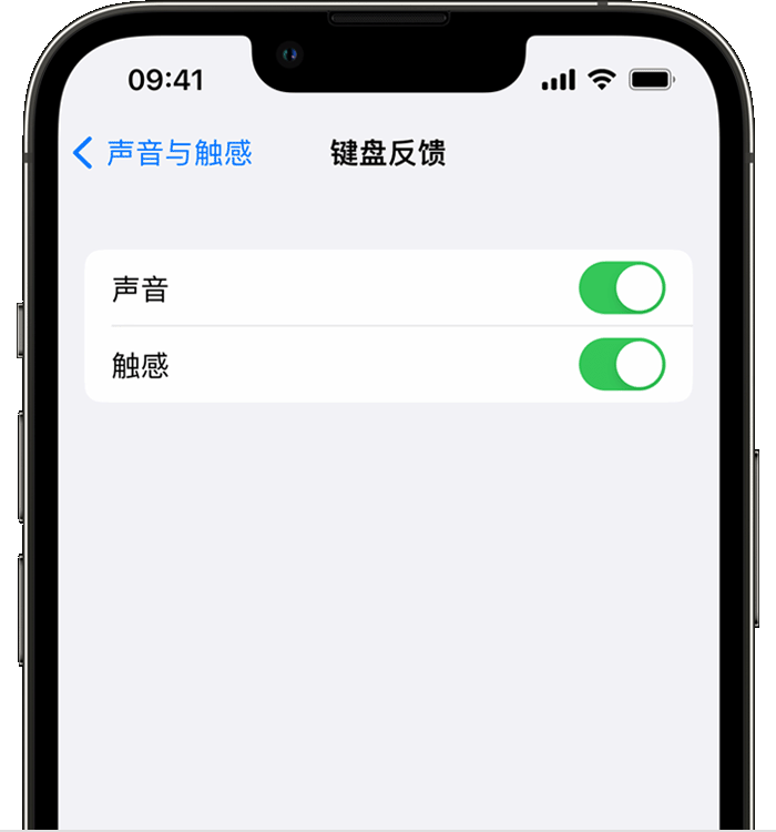 东澳镇苹果14维修店分享如何在 iPhone 14 机型中使用触感键盘 