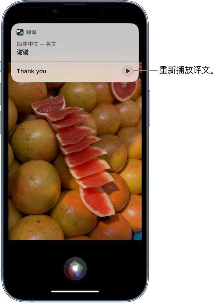 东澳镇苹果14维修分享 iPhone 14 机型中使用 Siri：了解 Siri 能帮你做什么 