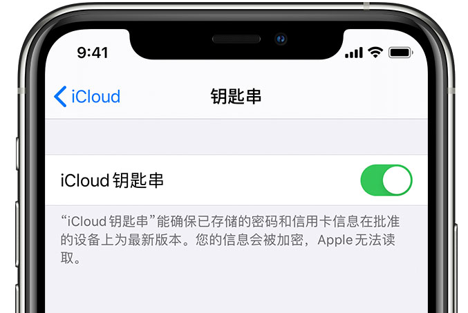 东澳镇苹果手机维修分享在 iPhone 上开启 iCloud 钥匙串之后会储存哪些信息 