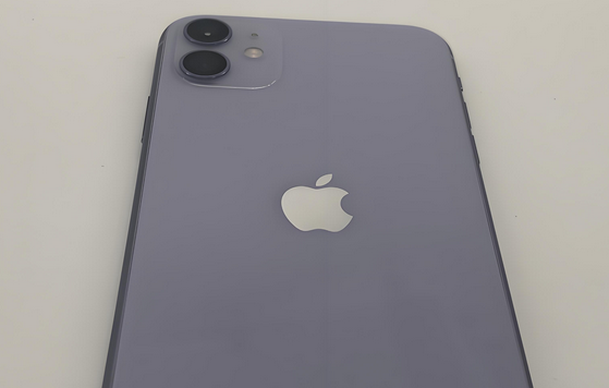 东澳镇苹果11系统维修分享iPhone11手机系统崩溃无法开机如何解决 